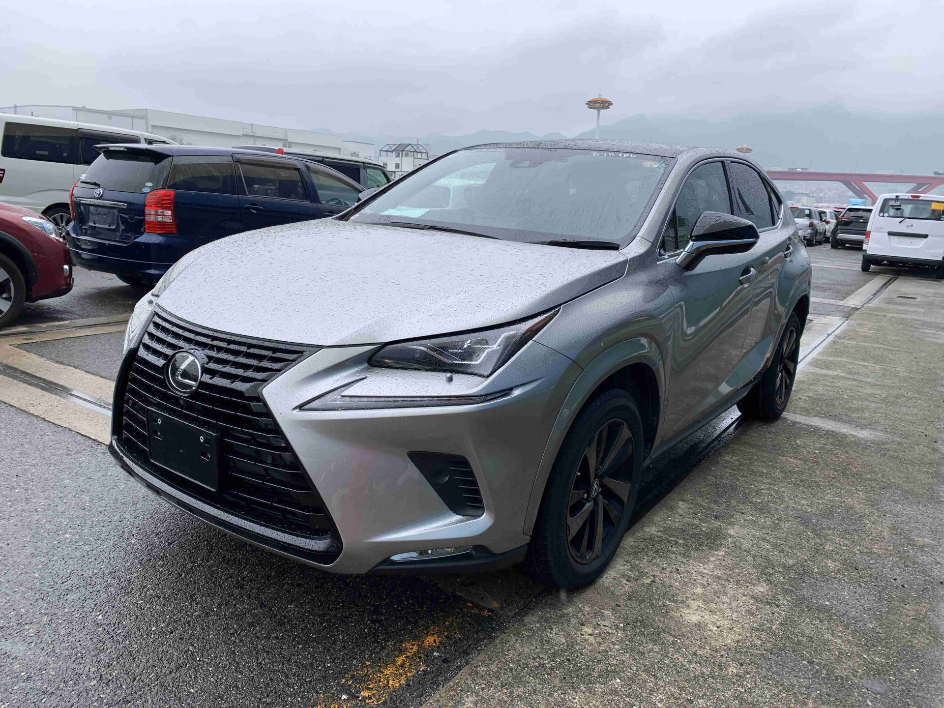 2020 Lexus NX300, Special Bronze Edition — YRT Stock