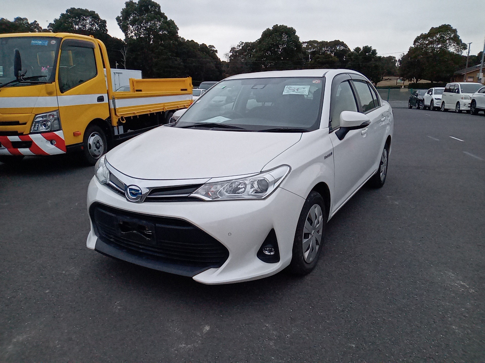 Toyota Corolla Axio 2019